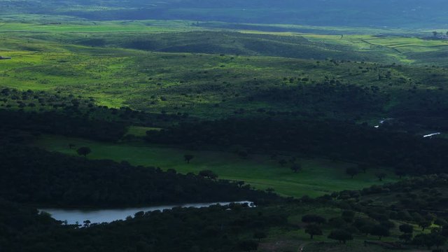 Alcornoque (Cork oak)  forest , Springtime, Bosque Mediterr&aacute;neo, Sierra de San Pedro, C&aacute;ceres, Extremadura, Spain, Europe