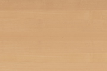 light brown tree wood wallpaper structure texture background pattern