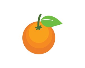 orange fruit icon vector logo illustration