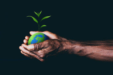 earth in hands