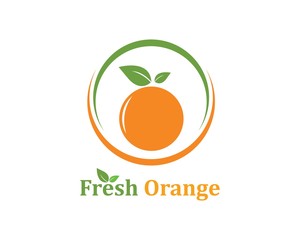 orange fruit icon vector logo illustration