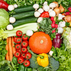 Vegetables collection food background square tomatoes carrots potatoes fresh vegetable