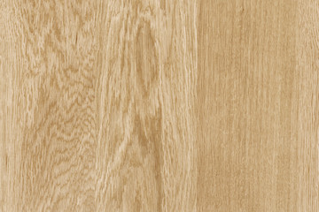 brown oak tree wood wallpaper structure texture background