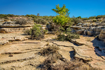 Природа Мангыстау