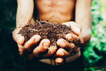 soil in hands