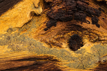 Beautiful patterns on the close-up of old wood. The knot in the board
