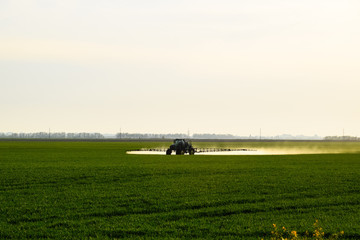 Fototapeta na wymiar tractor with the help of a sprayer sprays liquid fertilizers on young wheat in the field.