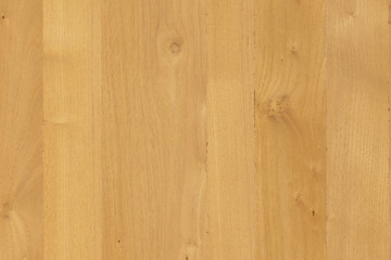 natural light brown oak tree timber wood structure texture backdrop surface