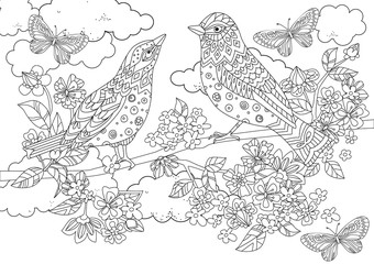 Fototapeta na wymiar couple of birds on branch of blossom tree for your coloring book