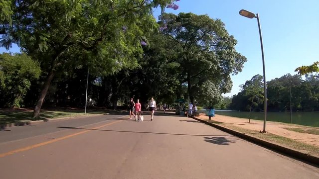 Time lapse movement in Ibirapuera park in Sao paulo city, Brazil. December, 2018.