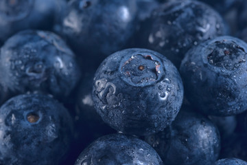 Blueberry. Fresh berries close -up,studio shot