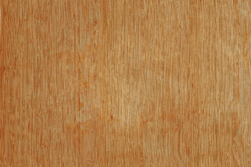 Naklejka premium old vintage rustic oak wood timber tree wooden surface wallpaper structure texture background