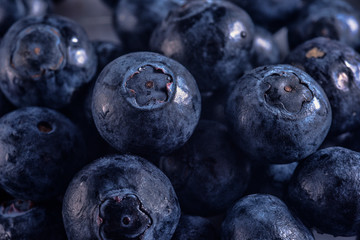 Blueberry. Fresh berries close -up,stuio shot