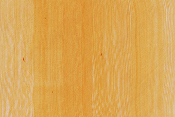 old vintage rustic oak wood timber tree wooden surface wallpaper structure texture background