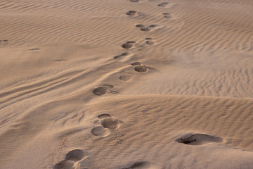 Footprints in sand at Dusk