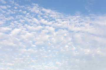 Fototapeta premium Cirrocumulus clouds against blue sky cloudscape background pattern