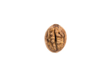 walnut on white background brain