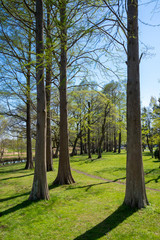 爽やかな公園風景