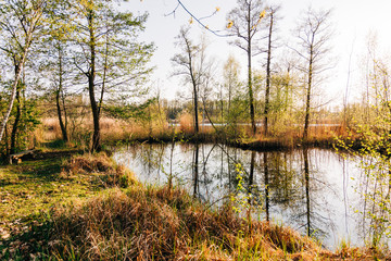 Smal lake with refections in the evening light