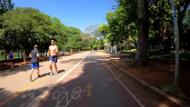 Time lapse movement in Ibirapuera park in Sao paulo city, Brazil. December, 2018.