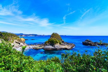 [静岡県] 南伊豆の自然 田牛