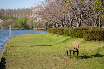 爽やかな公園風景