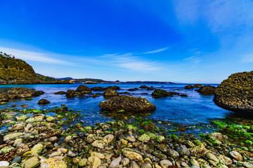 [静岡県] 南伊豆の自然 田牛