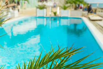 blurred summer vacation background   green palm leaf and turquoise water of the  swimming pool copy space