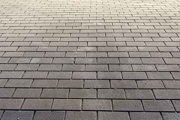 Brick pavement at cold autumn day