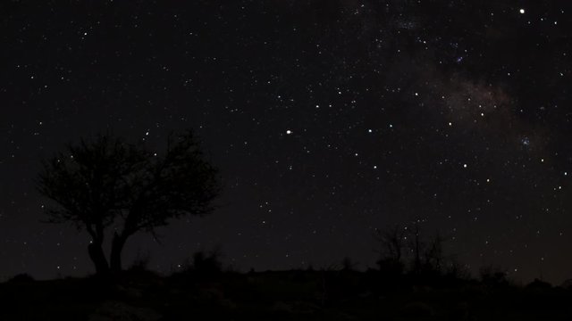Astrophotography night to day time lapse of the milky way view from a mountain. Olive tree and rocks in the foreground. Moon rising before the sun. Shadows moving on the green grass.