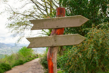 wooden arrow direction  sign on a background of blurred forest