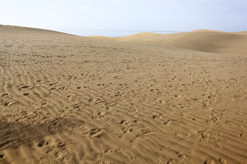 Summer background of free space for your decoration and ocean landscape. Summer time 