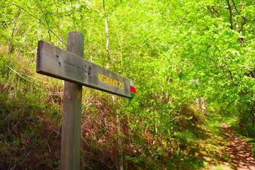 paseo monte sendero naturaleza señal