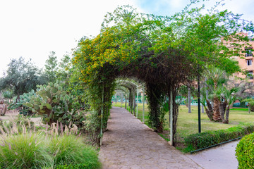 Fototapeta na wymiar An Arched Trellis Tunnel covered with Vines and Plants at Parc El Harti in Marrakech Morocco