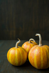 Little pumpkins. Decorative pumpkin on the table. Halloween. View from the side. Dark background.