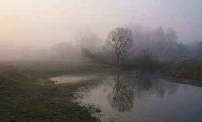 Fototapeta na wymiar Misty morning on the river. Dawn
