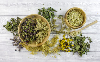 Dried different herbs on wooden background