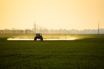 Fototapeta premium tractor with the help of a sprayer sprays liquid fertilizers on young wheat in the field.