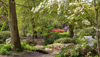 Planten un Blomen