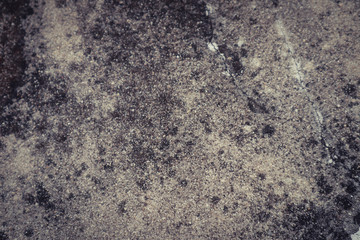 Beautiful closeup textures abstract old wall background and cement floor	