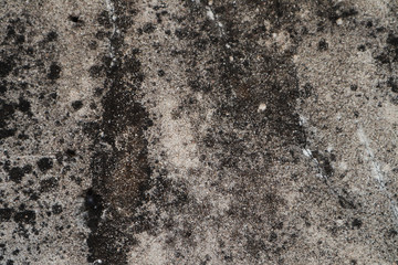 Beautiful closeup textures abstract old wall and tiles floor background and cement floor	