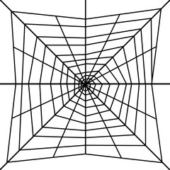 Obraz premium spider web