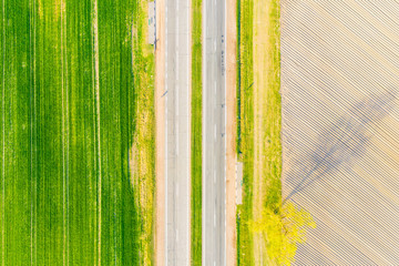 Old road along green field and dry soil. Aerial landscape