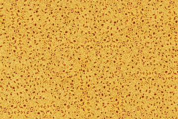 natural organic sponge structure texture background wallpaper
