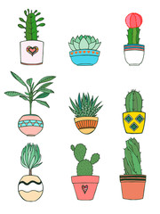 Set of different plants, succulents and cactus. Hand drawn vector illustration