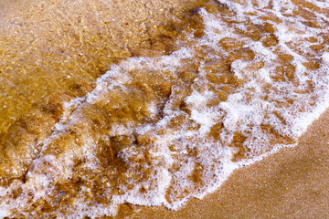 Little frothy waves of the sea on the sandy beach. Foamy wave rolls on the Golden sand of the beach. Place for your text. Wallpaper.