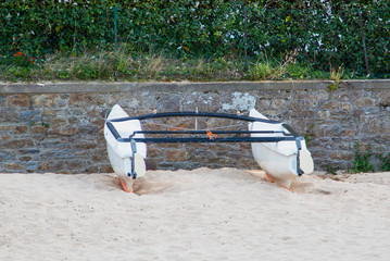 catamaran without a sail stands on the sand near the fence