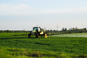 tractor with the help of a sprayer sprays liquid fertilizers on young wheat in the field.