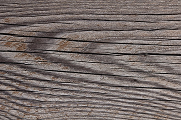 Texture photo of grey, worn, shabby, old and cracked wood which was exposed to weather and sun for years. Ideal as a background