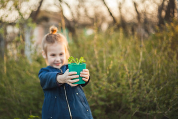 Pot with seedlings in children's hands